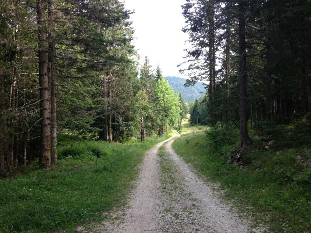 Beau Site Leilighet Villard-de-Lans Eksteriør bilde